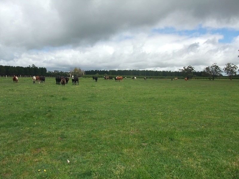 424 (RSD 121) Ballarat-Daylesford Road, Ballarat VIC 3350