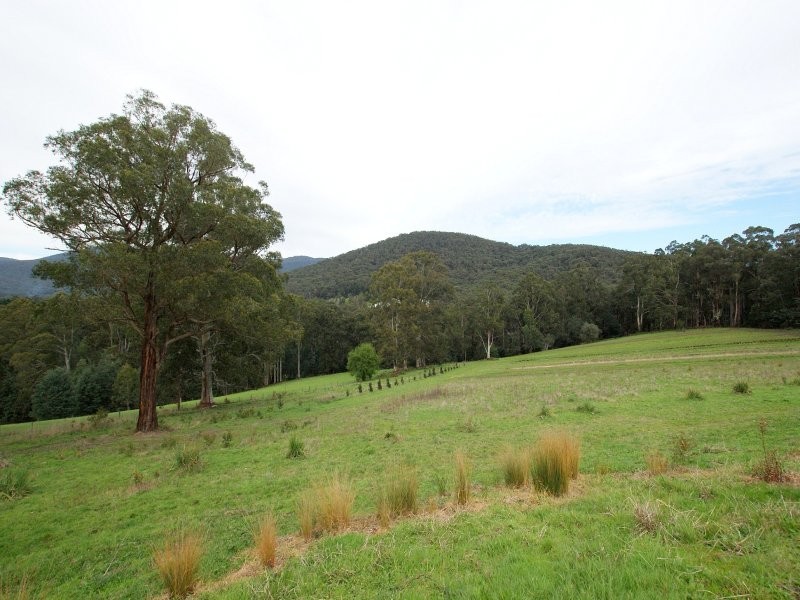 140 Blacksands Road, Three Bridges VIC 3797