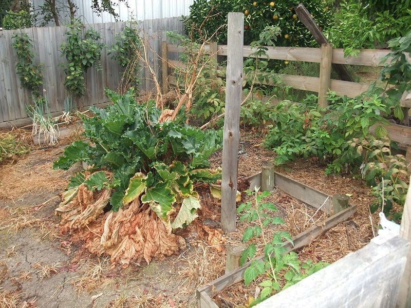 2 Candy Close, Seville VIC 3139