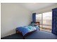 586 Warburton Highway, Seville VIC 3139