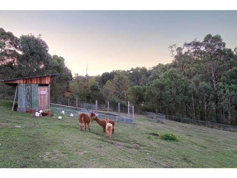 19 O’Connor Ave, Mount Evelyn VIC 3796