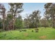 3 Ray Street, Seville VIC 3139