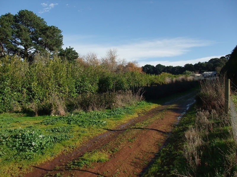 141 Monbulk-Seville Road, Silvan VIC 3795