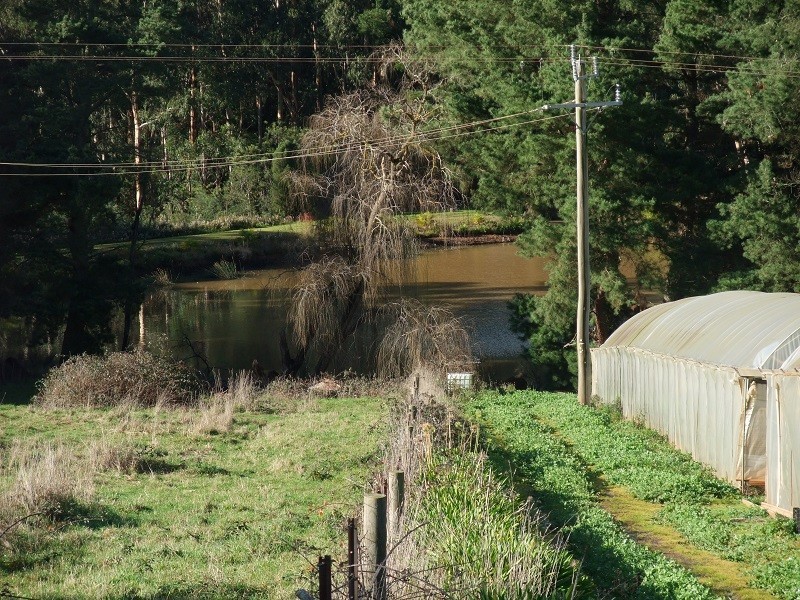 141 Monbulk-Seville Road, Silvan VIC 3795