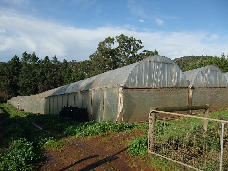 141 Monbulk-Seville Road, Silvan VIC 3795