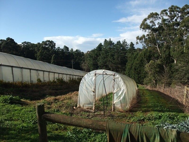 141 Monbulk-Seville Road, Silvan VIC 3795