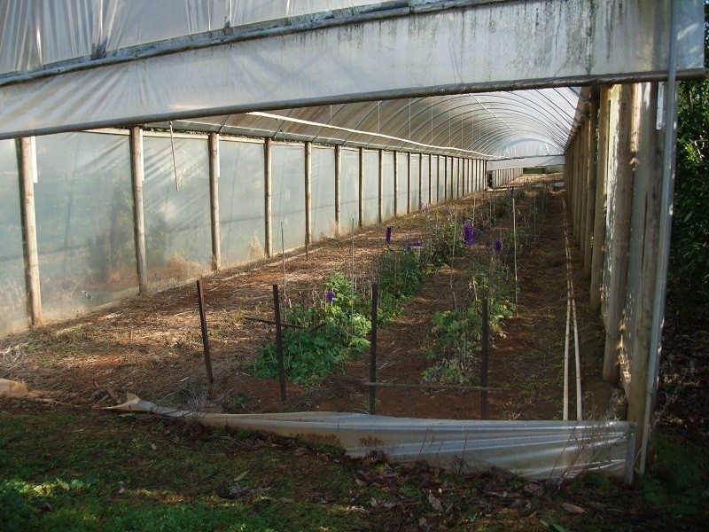 141 Monbulk-Seville Road, Silvan VIC 3795