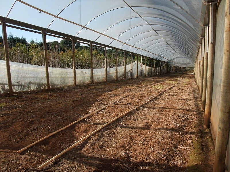 141 Monbulk-Seville Road, Silvan VIC 3795