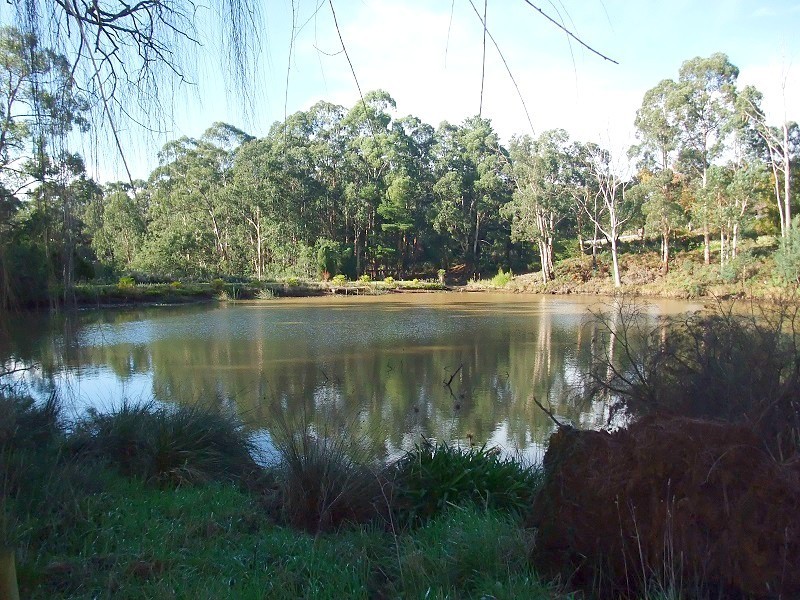 141 Monbulk-Seville Road, Silvan VIC 3795