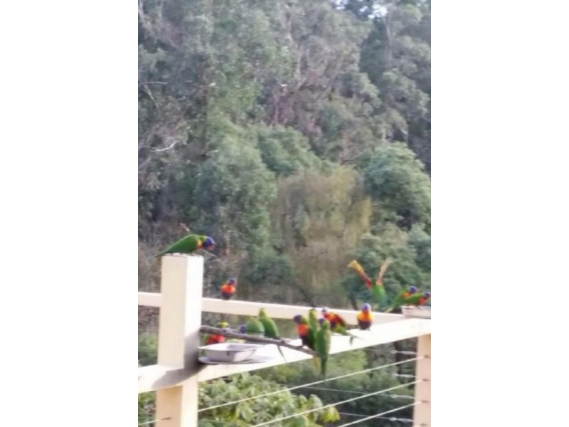 5 Seymour Street, Seville VIC 3139