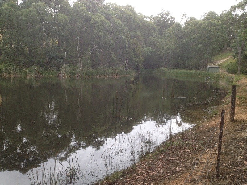 489 Lusatia Park Road, Hoddles Creek VIC 3139