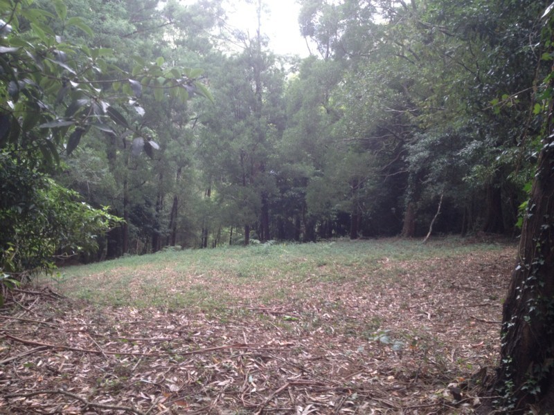 16 Wattletree Road, Warburton VIC 3799