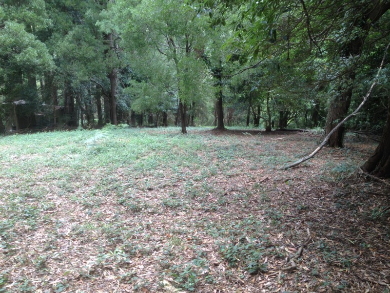 16 Wattletree Road, Warburton VIC 3799