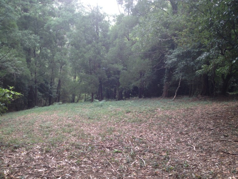 16 Wattletree Road, Warburton VIC 3799