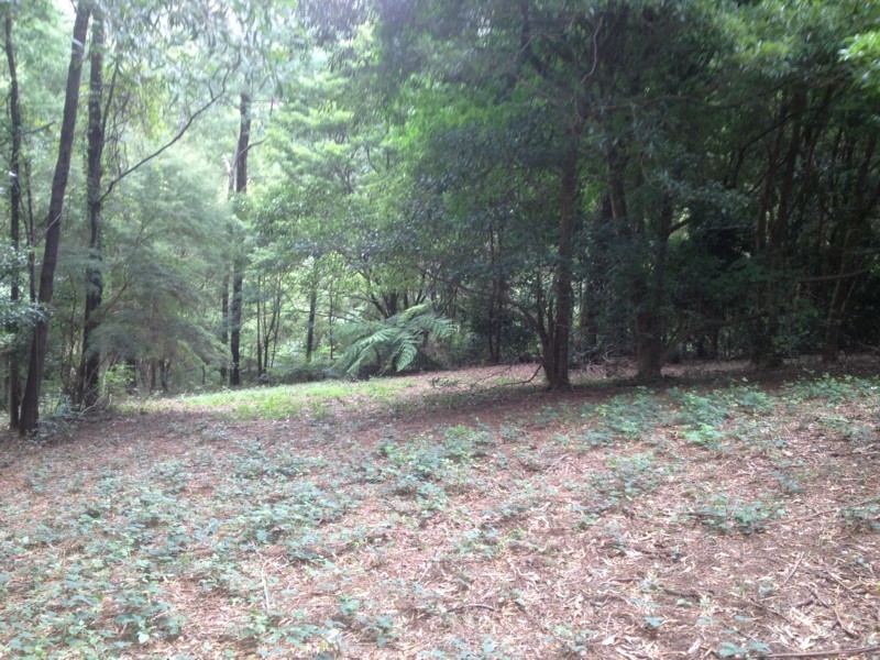 16 Wattletree Road, Warburton VIC 3799