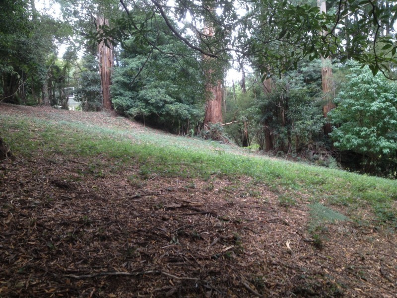 16 Wattletree Road, Warburton VIC 3799