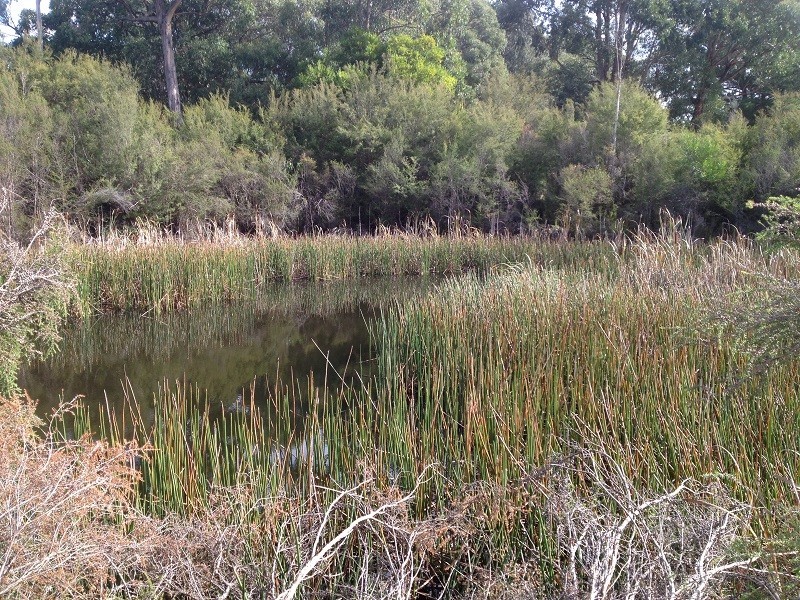 55 Bridgewater Road, Seville VIC 3139