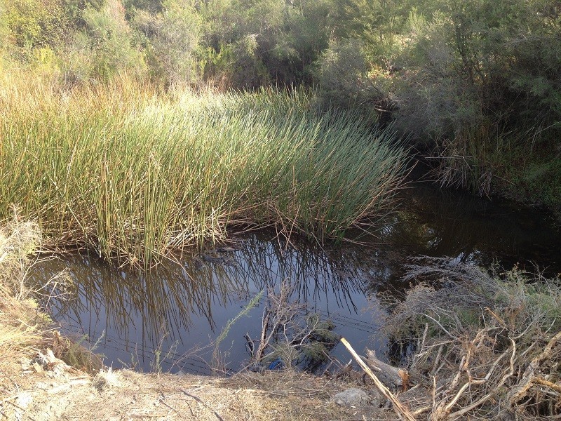 55 Bridgewater Road, Seville VIC 3139