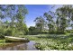 50 Wandin Creek Road, Wandin North VIC 3139