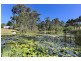 50 Wandin Creek Road, Wandin North VIC 3139
