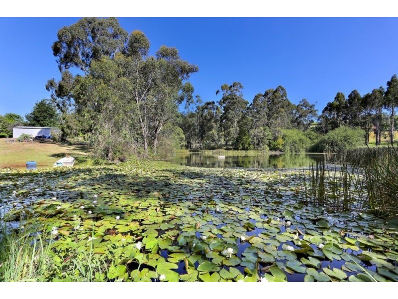 50 Wandin Creek Road, Wandin North VIC 3139