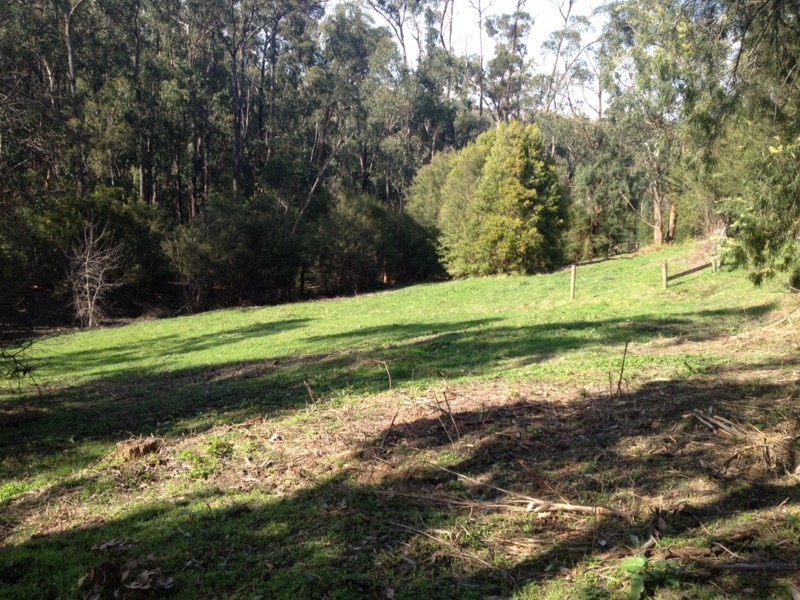 60 Williams Road, Don Valley VIC 3139