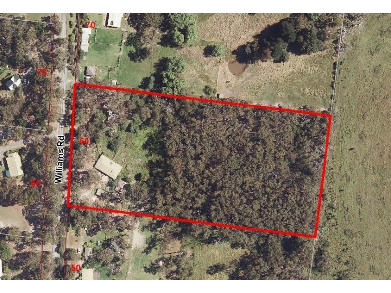 60 Williams Road, Don Valley VIC 3139