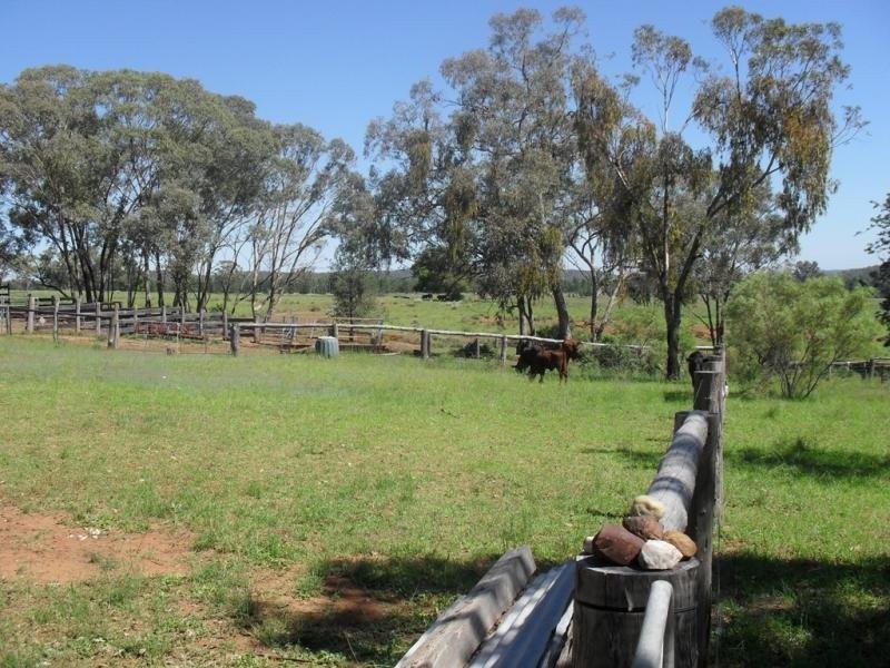 Coonabarabran NSW 2357