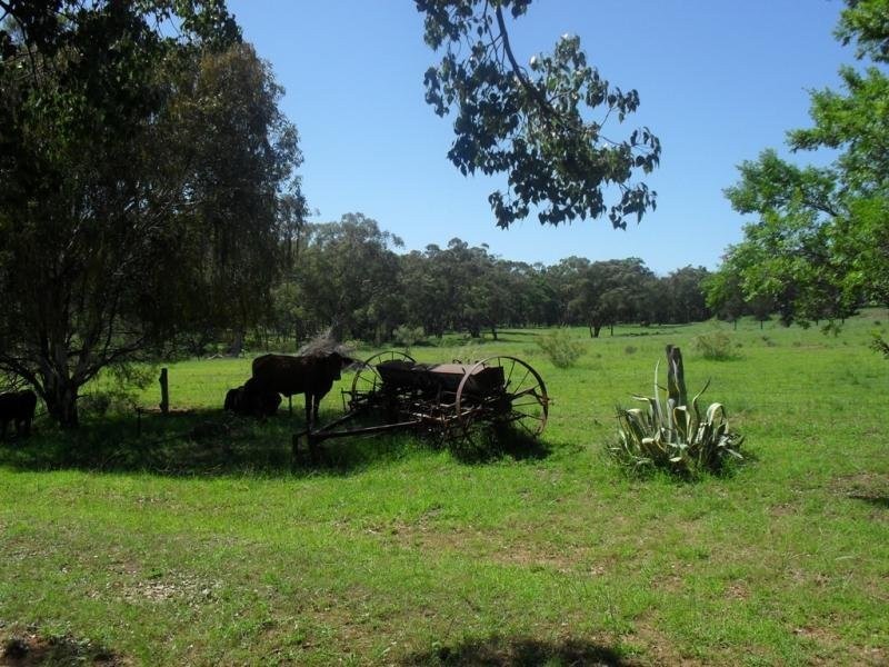 Coonabarabran NSW 2357