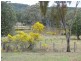 Coonabarabran NSW 2357