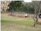 Coonabarabran NSW 2357