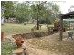 Coonabarabran NSW 2357
