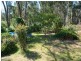 Montrose VIC 3765