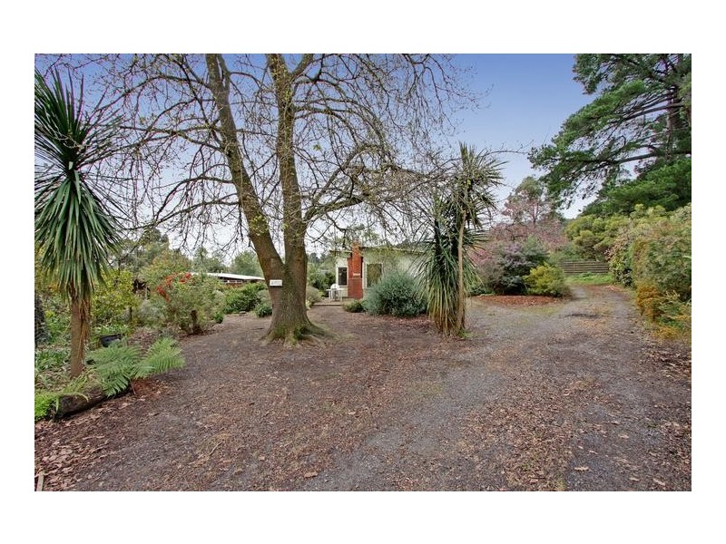 10 Swansea Road, Montrose VIC 3765