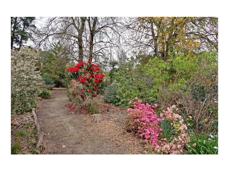 10 Swansea Road, Montrose VIC 3765