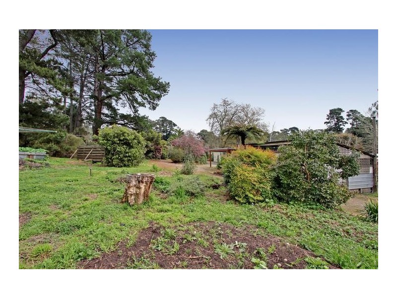 10 Swansea Road, Montrose VIC 3765