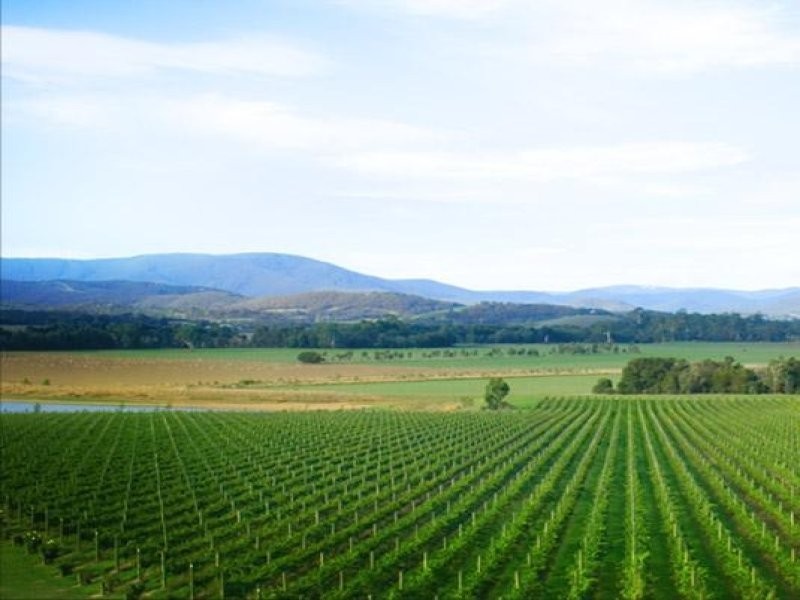 41 Tamworth Road, Kilsyth VIC 3137