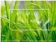 Mooroolbark VIC 3138
