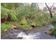 Healesville VIC 3777