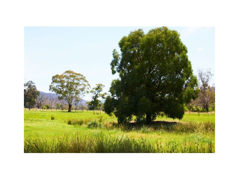 Healesville VIC 3777