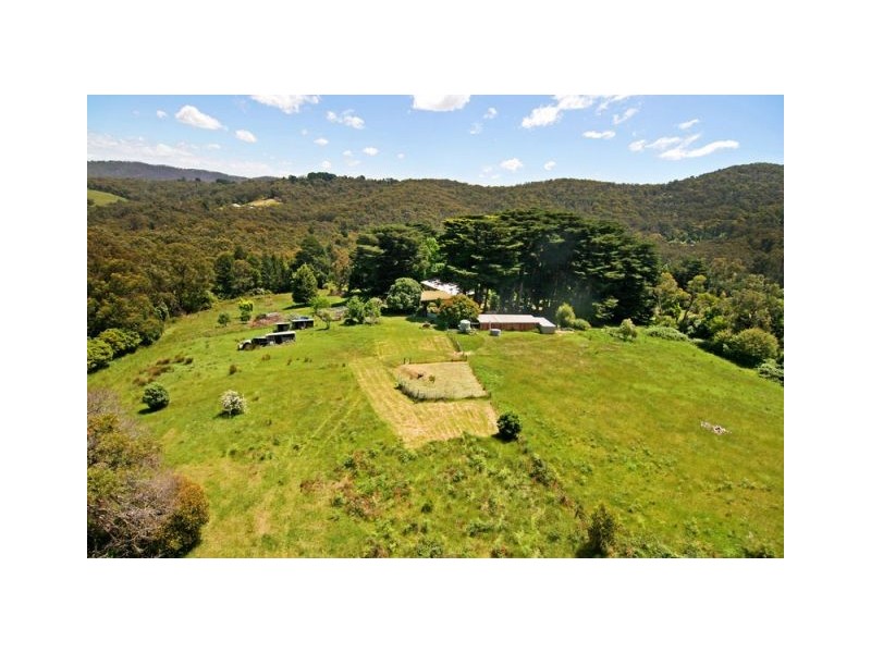 Healesville VIC 3777