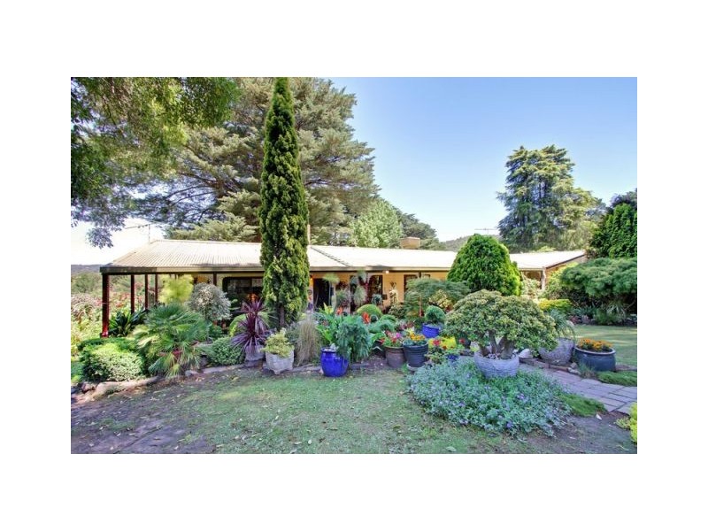 Healesville VIC 3777