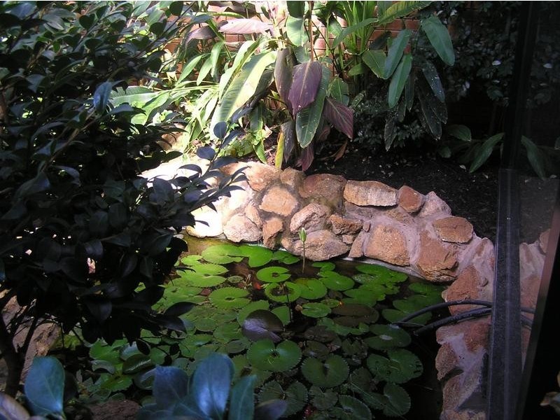 11 Clifford Way, Bull Creek WA 6149