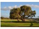 2 Potter Avenue, Salter Point WA 6152