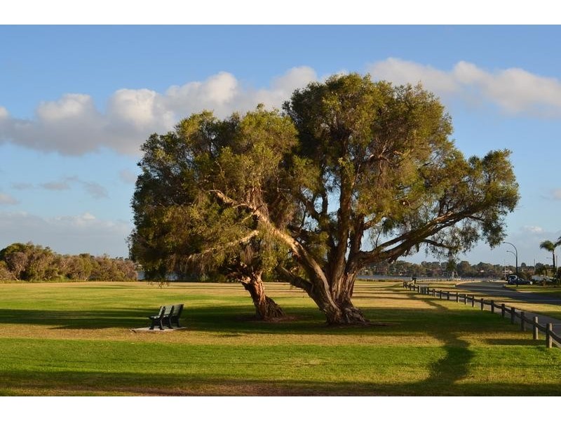 2 Potter Avenue, Salter Point WA 6152
