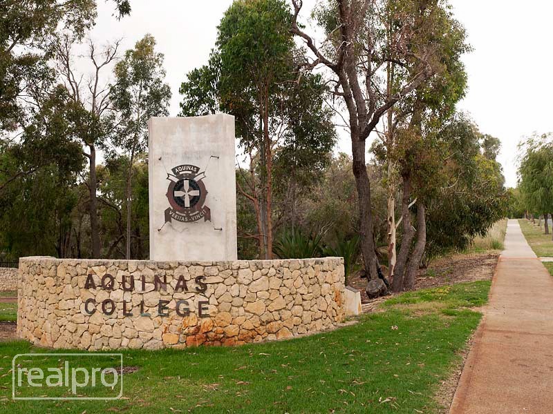 66 Henning Crescent, Manning WA 6152