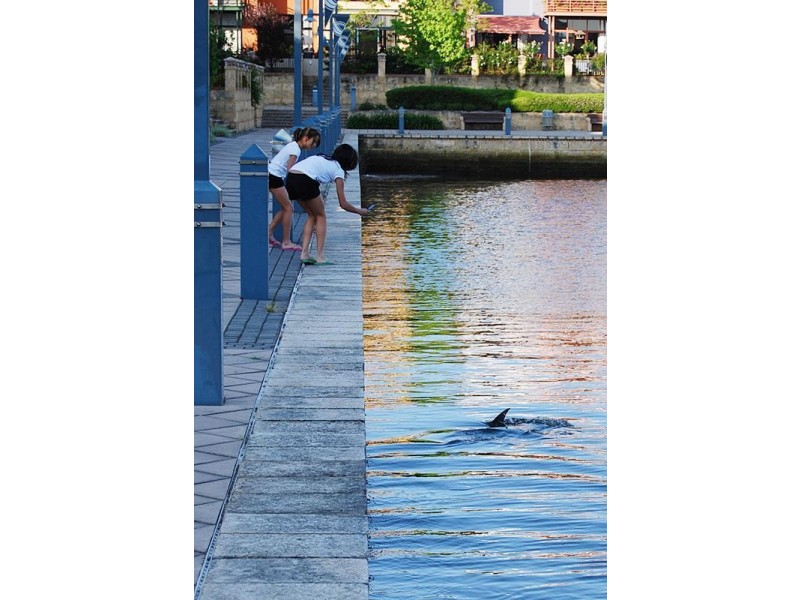 13/10 Marina Drive, Ascot WA 6104