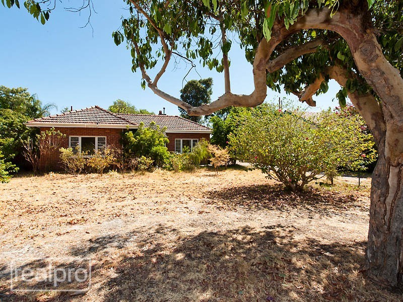24 Pether Road, Manning WA 6152
