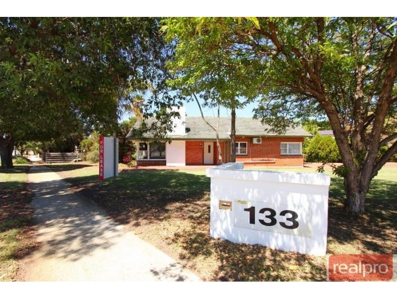 133 Manning Road, Manning WA 6152