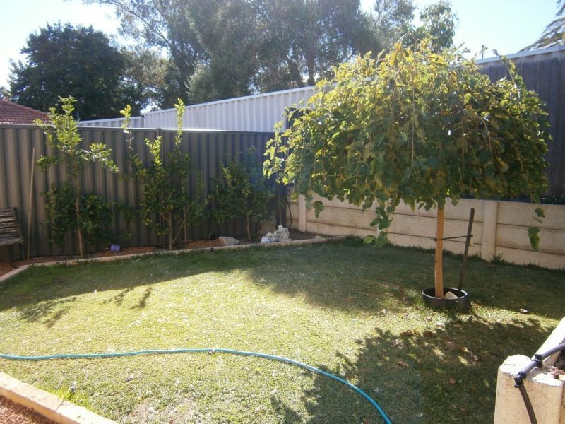 87A Collier Road, Embleton WA 6062